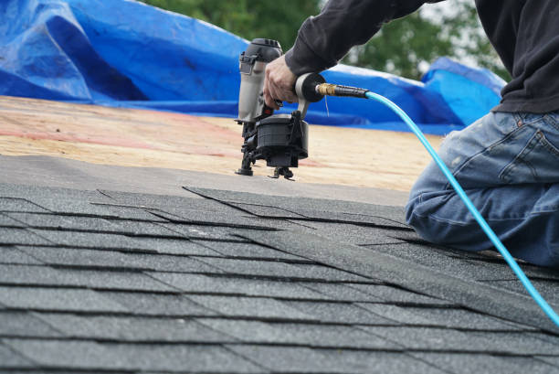 Best Roof Leak Repair  in Lake Ridge, VA