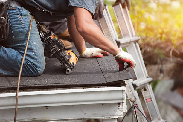 Best Gutter Installation and Roofing  in Lake Ridge, VA