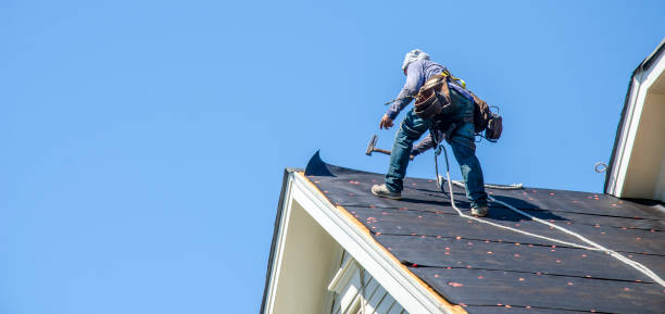 Roof Waterproofing Services in Lake Ridge, VA